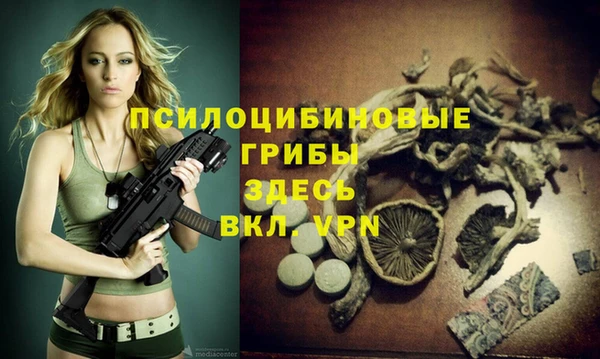 прущие крисы Вяземский